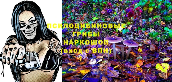 винт Кинешма