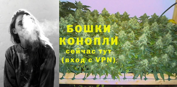 spice Пенза