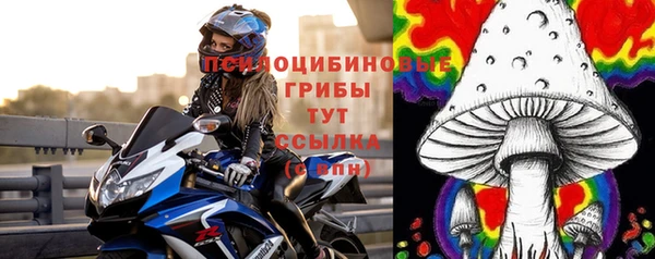 ешки Краснослободск
