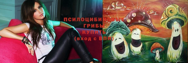 ешки Краснослободск