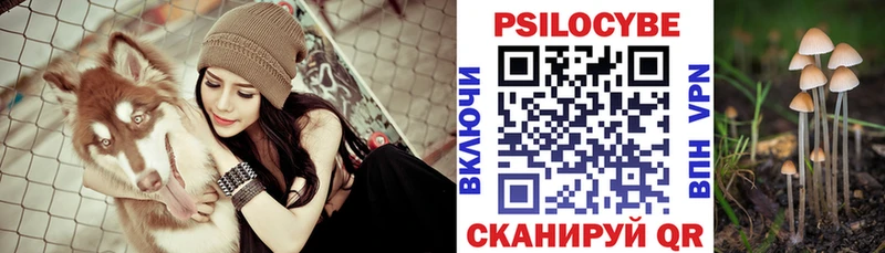 купить наркоту Кирово-Чепецк ссылка на мегу как войти Галлюциногенные грибы Psilocybe
